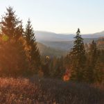 Rzuć wszystko i jedź w Bieszczady