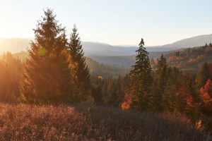 Rzuć wszystko i jedź w Bieszczady