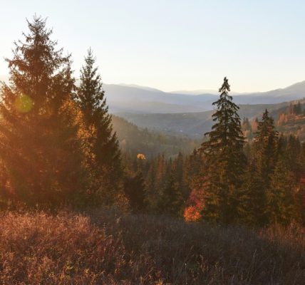 Rzuć wszystko i jedź w Bieszczady