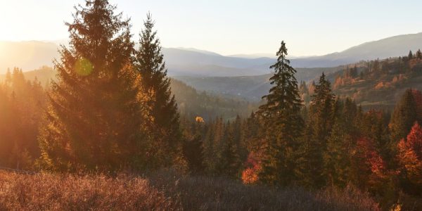 Rzuć wszystko i jedź w Bieszczady