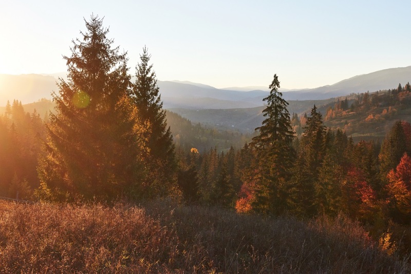 Rzuć wszystko i jedź w Bieszczady